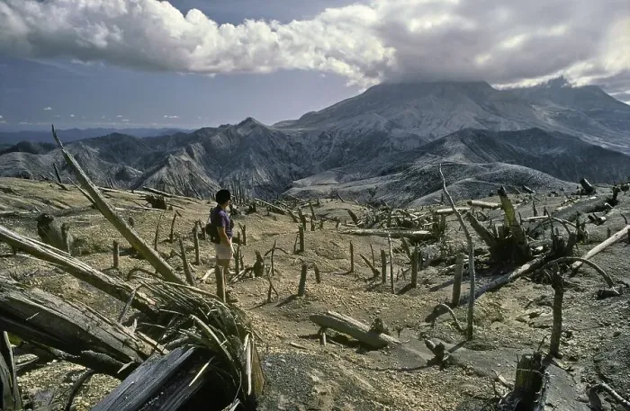 Framed Print : Many Fallen Timbers, Mt. St. Helens Aftermath 1980