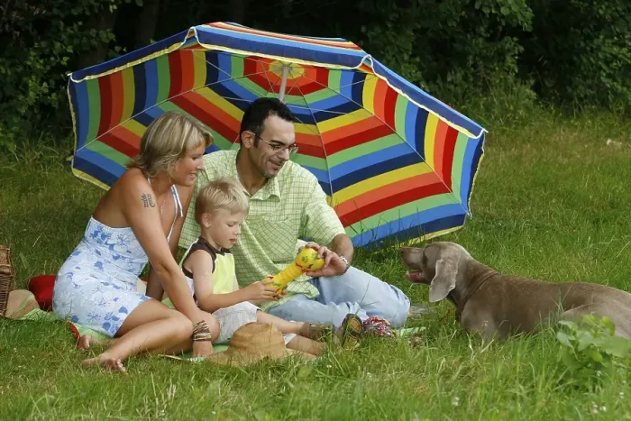 Framed Print : Family with Weimaraner under parasol Framed Print : Family with Weimaraner under parasol