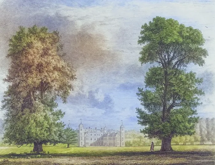 Framed Print : Famous old trees, The plane tree and the lime tree in Cobham Park, a former parkland and villa between the villages of Cobham and Downside in Surrey, England, Historic, digitally restored reproduction from a 19th century original, coloured