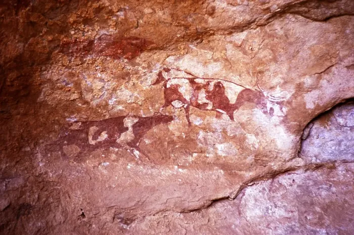 Framed Print : Famous prehistoric rock carvings of Tassili N'Ajjer, Algeria, North Africa 1973 Tassili N'Ajjer National Park, Africa Framed Print : Famous prehistoric rock carvings of Tassili N'Ajjer, Algeria, North Africa 1973 Tassili N'Ajjer National Park, Africa