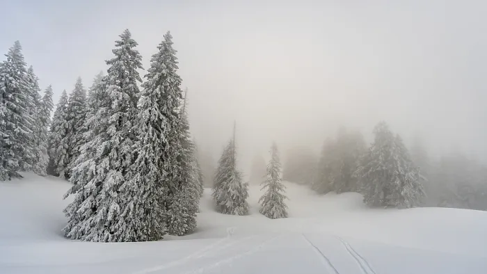 Framed Print : Fantastic snowshoe tour on the Hochgrat at the Nagelfluhkette in Allgau