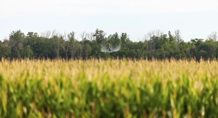 Framed Print : Farm helicopter distant among corn