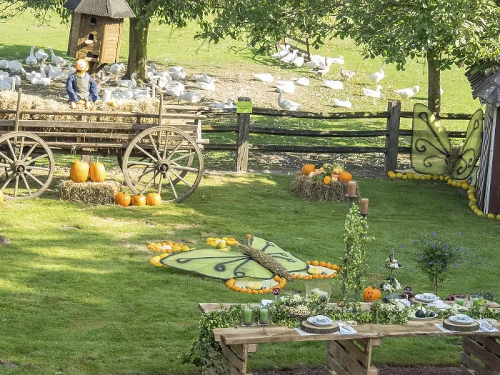 Framed Print : Farm scene with picnic table, pumpkins