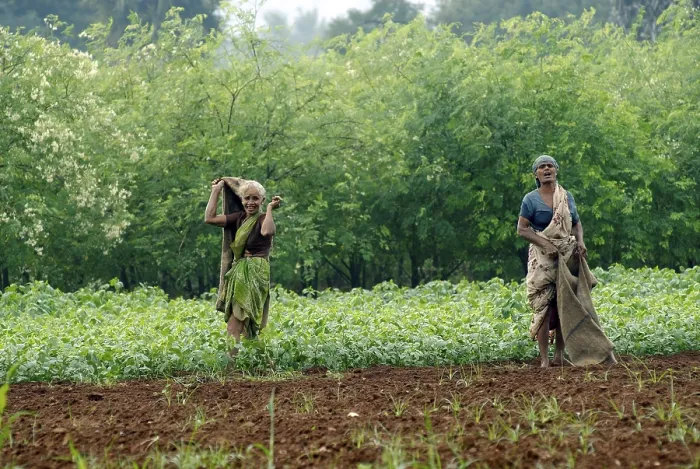 Framed Print : Farm workers on a rainy monsoon day