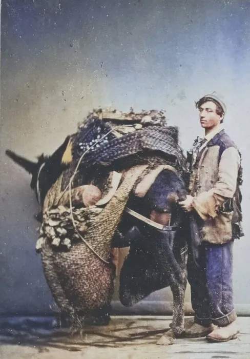 Framed Print : Farmer bringing his harvest to market on a fully loaded donkey Framed Print : Farmer bringing his harvest to market on a fully loaded donkey