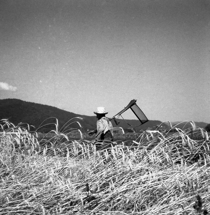Framed Print : Farmer, ca. 1945 to 1955, near Freiburg Framed Print : Farmer, ca. 1945 to 1955, near Freiburg