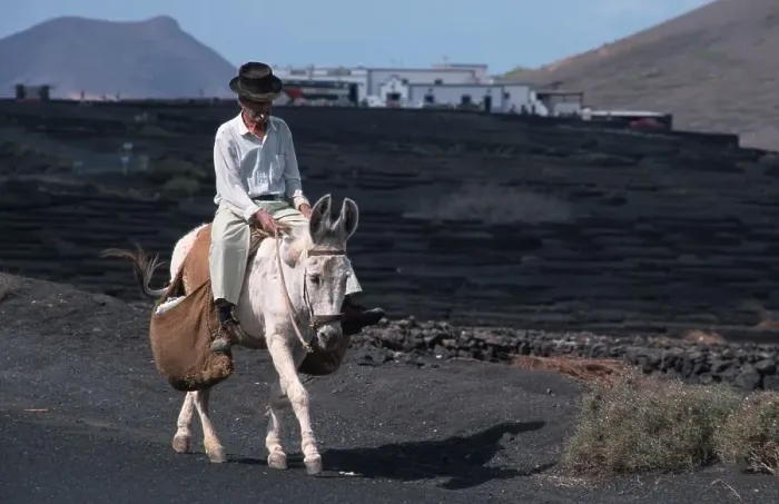 Framed Print : Farmer riding donkey, Canary Islands