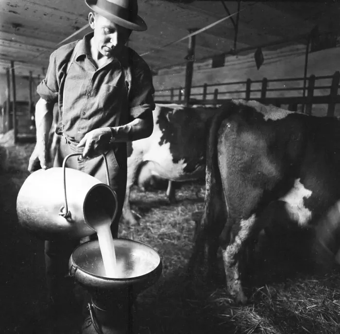 Framed Print : Farmer in Sauerland ca. 1966, Germany, Europe Framed Print : Farmer in Sauerland ca. 1966, Germany, Europe