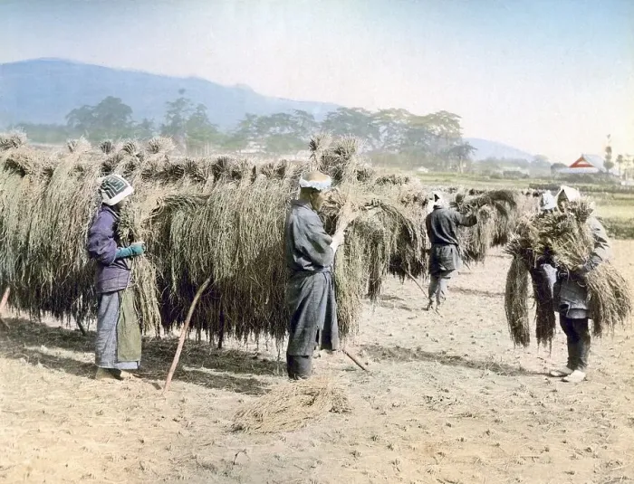 Framed Print : Farmers in field, Japan, Asia