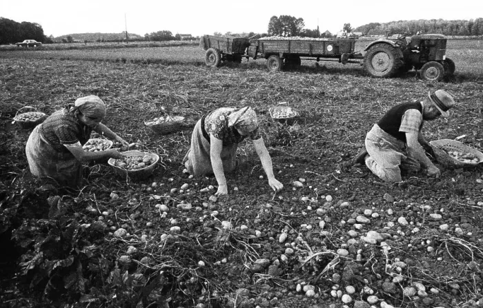 Framed Print : Farmers working in the fields in Muensterland on 10