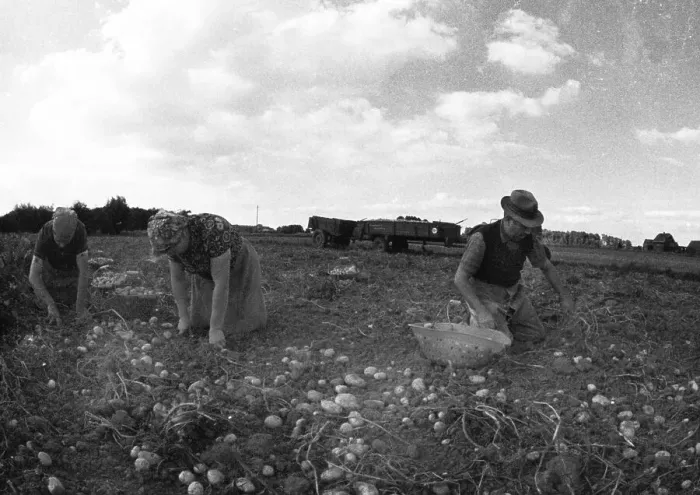 Framed Print : Farmers working in the fields in Muensterland on 10