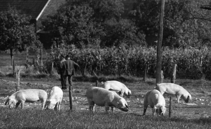 Framed Print : Farmers working in the fields in Muensterland on 10