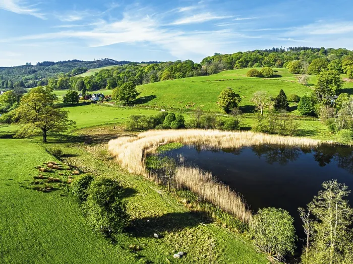 Framed Print : Farms over Esthwaite Water from drone