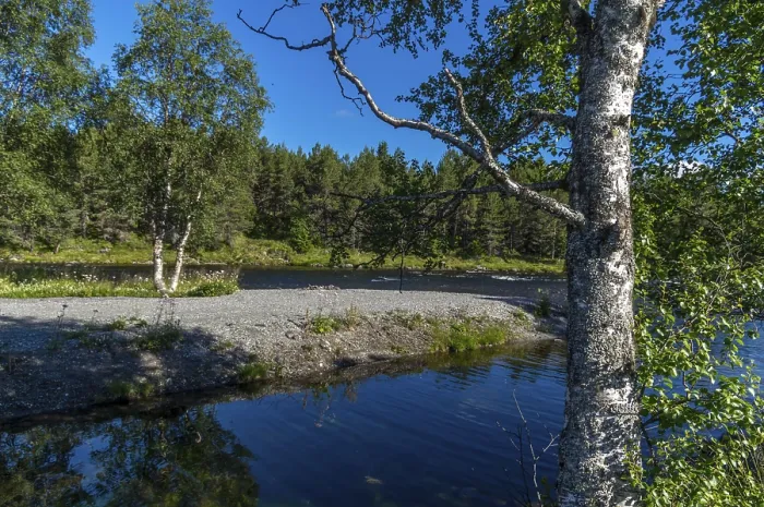 Framed Print : Fascinating natural landscape in Golsfjellet in the summertime in Norway Framed Print : Fascinating natural landscape in Golsfjellet in the summertime in Norway