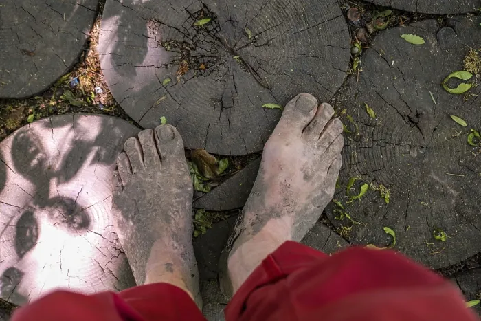 Framed Print : Feet of a man on tree discs on the Wuppenau barefoot path on Nollen