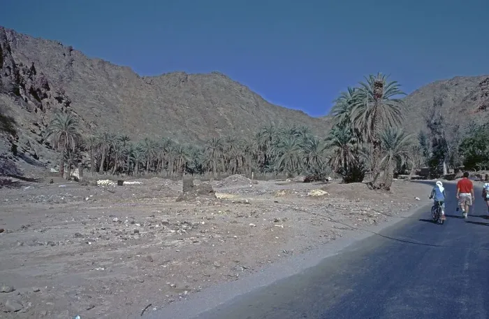 Framed Print : Feiran Oasis, Sinai Peninsula, Egypt, September 1989, vintage, retro, old, historical, Africa