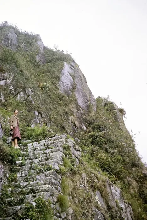 Framed Print : Female tourist on the steep mountain path Huayna Picchu, Machu Picchu, Peru, South America around 1962, South America