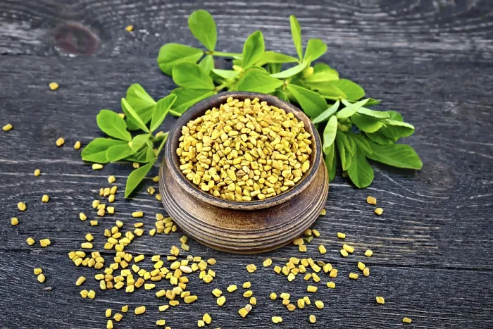 Framed Print : Fenugreek seeds in a bowl and on a table with green leaves against a black wooden board
