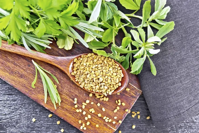 Framed Print : Fenugreek seeds in a spoon on a brown plate with spicy herbs