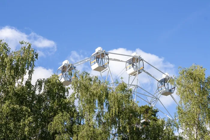 Framed Print : Ferris wheel over the treetops in the park