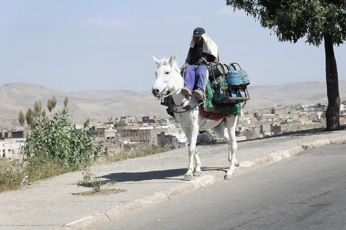 Framed Print : Fes, person riding on a donkey loaded with backpacks
