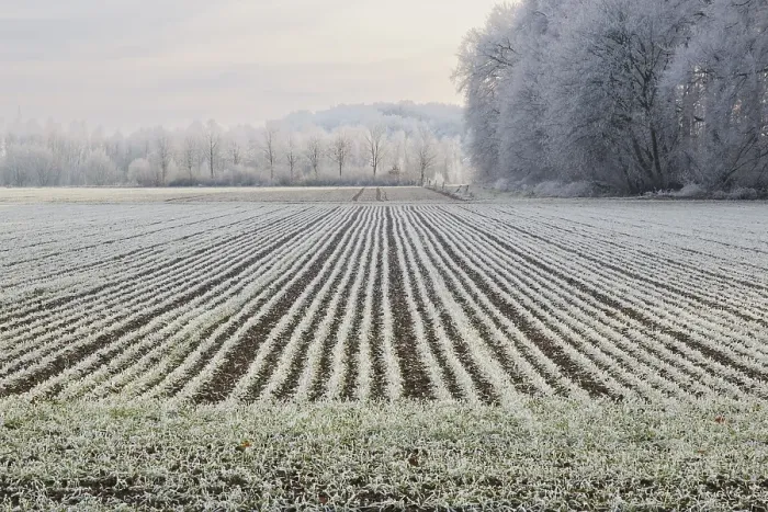 Framed Print : Field and landscape with hoarfrost