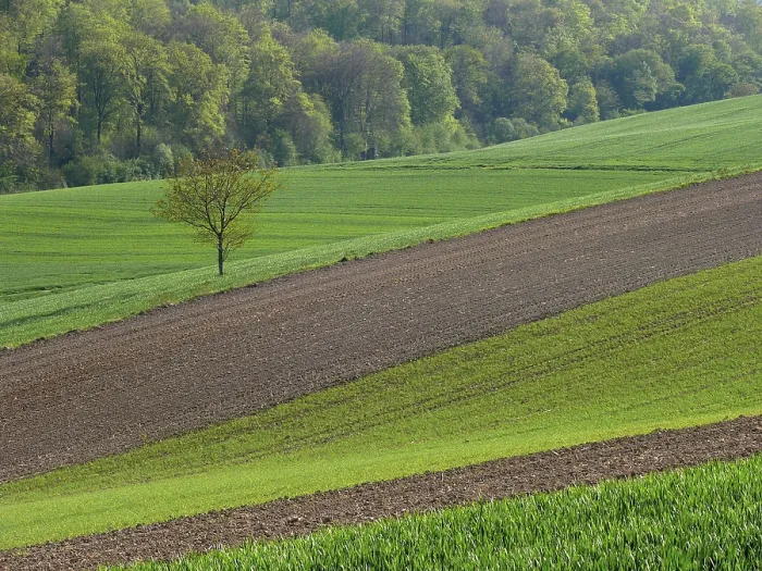 Framed Print : Field landscape in Kraichgau, Baden-Wurttemberg