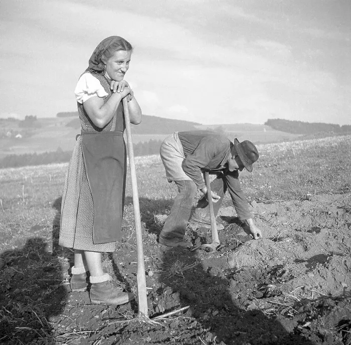 Framed Print : Field worker, farmers, agriculture, ca Framed Print : Field worker, farmers, agriculture, ca