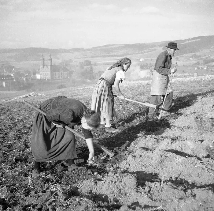 Framed Print : Field worker, farmers, agriculture, ca