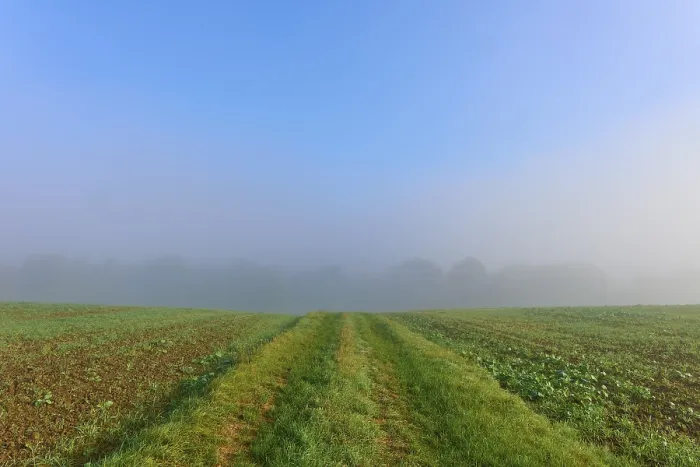 Framed Print : Fields under a clear sky with fog in the background Framed Print : Fields under a clear sky with fog in the background