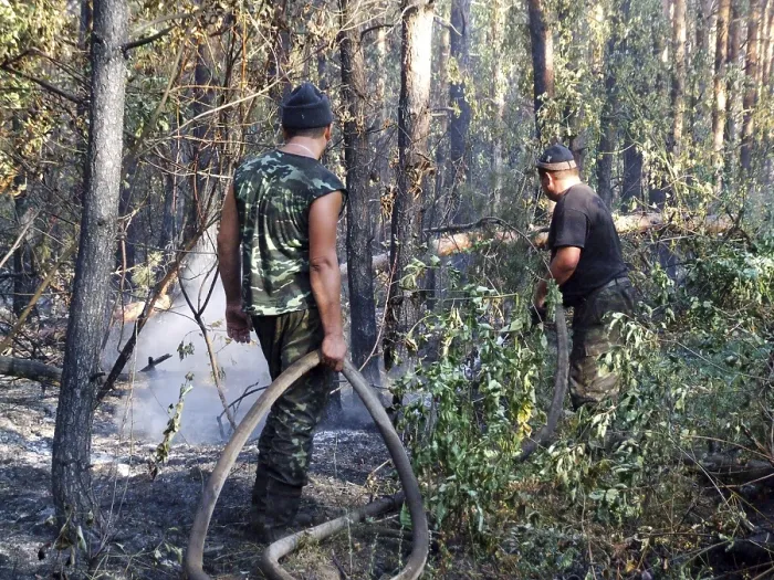 Framed Print : Firemen fighting a bushfire wildfire in the coniferous forest Framed Print : Firemen fighting a bushfire wildfire in the coniferous forest