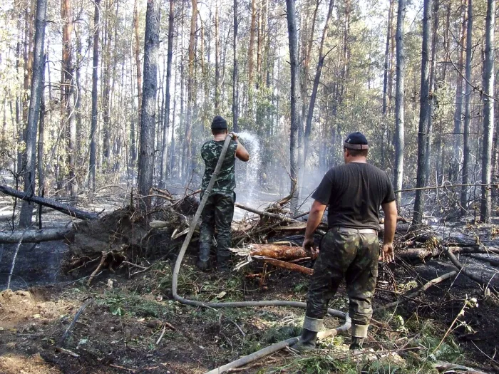 Framed Print : Firemen fighting a bushfire wildfire in the coniferous forest Framed Print : Firemen fighting a bushfire wildfire in the coniferous forest