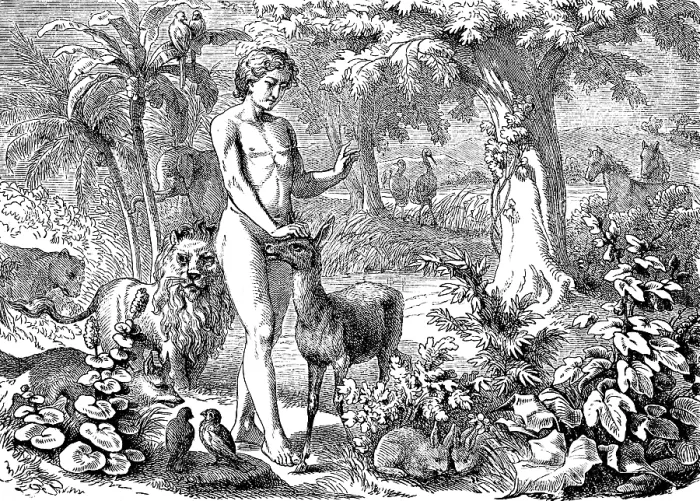 Framed Print : First Book of Genesis, chapter 1 Framed Print : First Book of Genesis, chapter 1