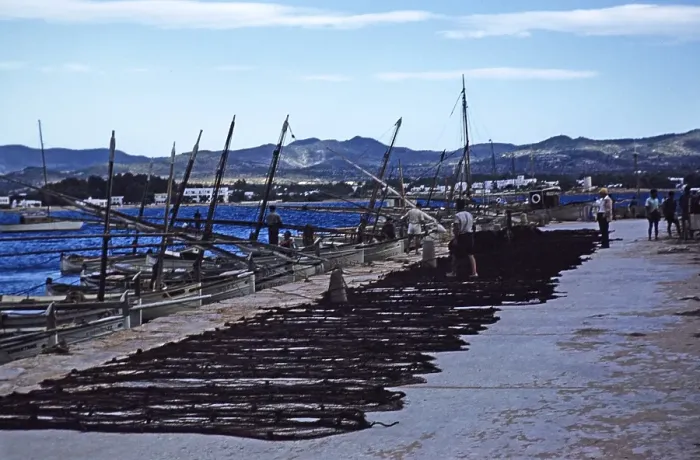 Framed Print : Fischerboote und Nest am Kai im Hafen von Calvi, Korsika, Frankreich, Ende der 1950er Jahre Framed Print : Fischerboote und Nest am Kai im Hafen von Calvi, Korsika, Frankreich, Ende der 1950er Jahre