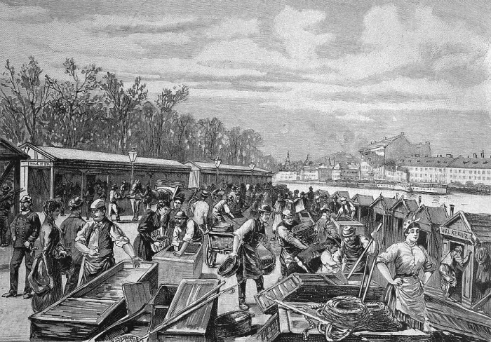 Framed Print : Fish market on the Donaukanal, Danube canal in Vienna