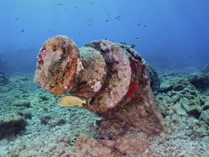 Framed Print : Fish swimming near a winch of an old sunken shipwreck on the seabed