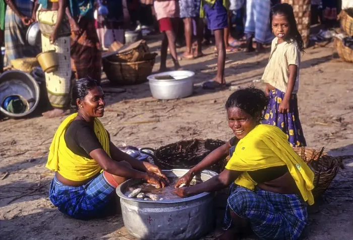Framed Print : Fisher women washing the fish, Kerala