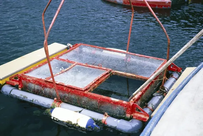 Framed Print : Fisheries Marine Research Laboratory, Ardtoe, Acharacle, Scotland Photo from 1971