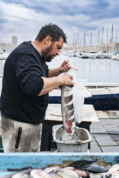 Framed Print : Fisherman at the Old Harbour, Marseille, France