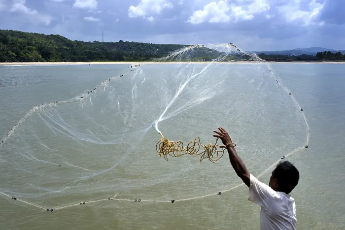 Framed Print : Fisherman throwing net in Arabian sea at Vengurla