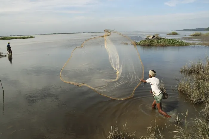 Framed Print : Fisherman throwing net in river brahmaputra