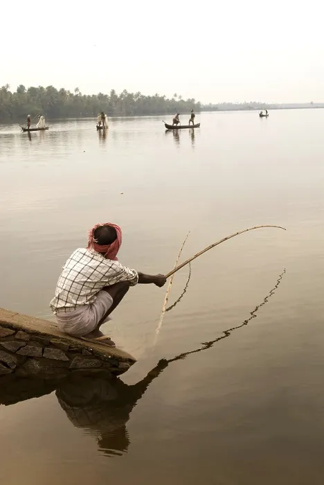 Framed Print : Fishing on backwaters of Cherai, Kerala, India Framed Print : Fishing on backwaters of Cherai, Kerala, India