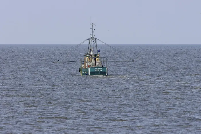 Framed Print : Fishing boat trawls the North Sea for shrimp