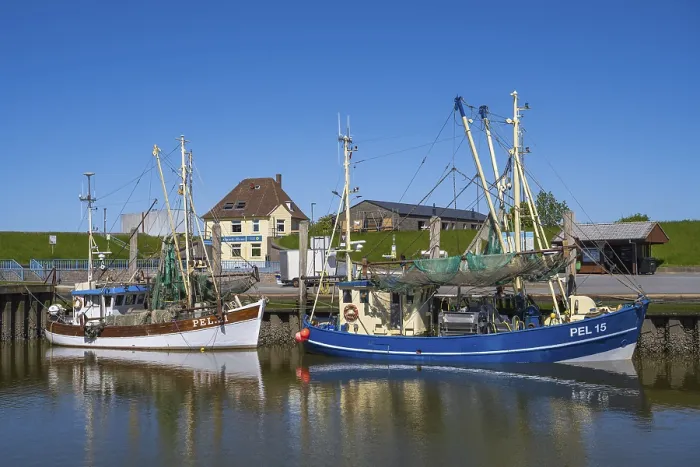 Framed Print : Fishing boats in the harbour, Tammensiel