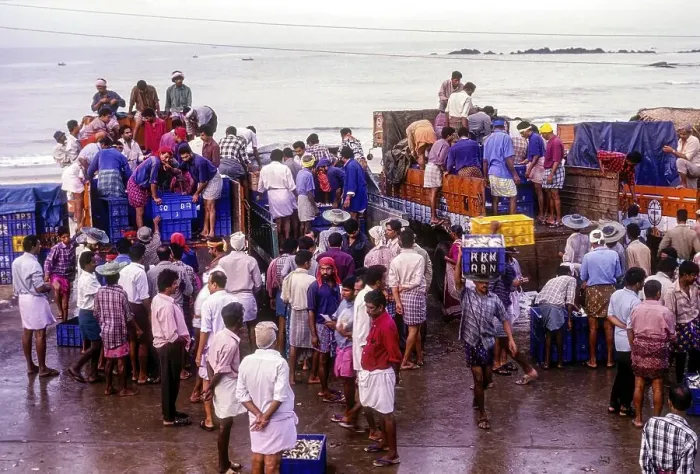 Framed Print : Fishing yard at Thalassery Tellicherry Framed Print : Fishing yard at Thalassery Tellicherry
