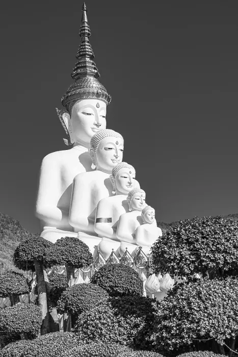 Framed Print : Five-headed Buddha statue, black and white photo