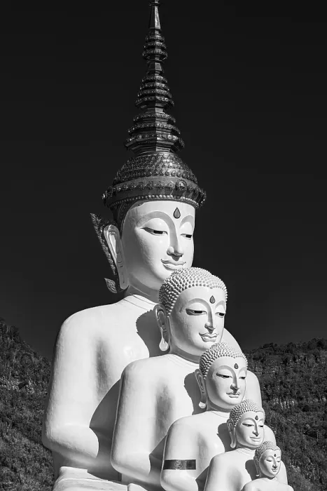 Framed Print : Five-headed Buddha statue, black and white photo