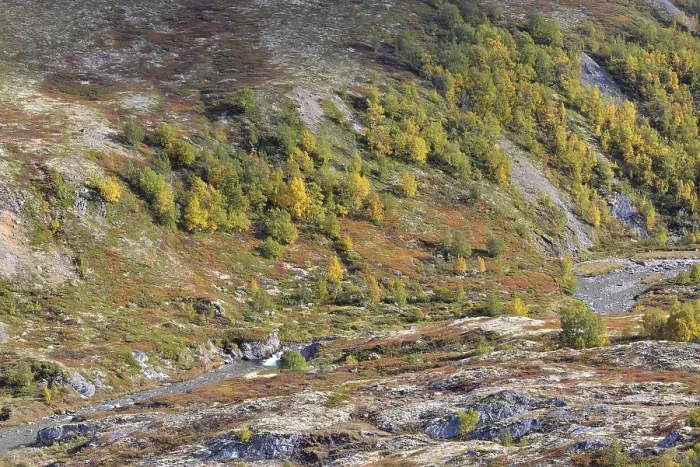 Framed Print : Fjell landscape in autumn, Rondane National Park