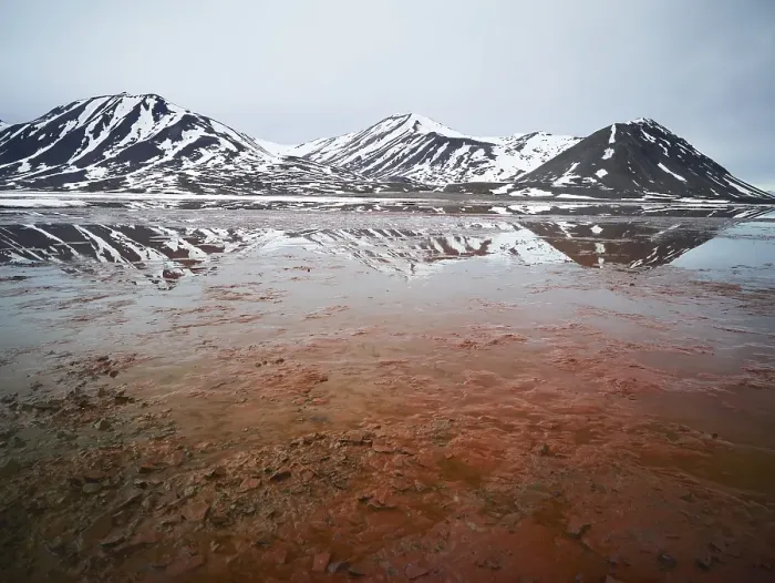 Framed Print : Fjord with red algae, Krossfjorden