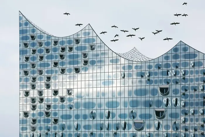 Framed Print : Flock of birds flying over the glass facade of the Elbe Philharmonic Hall, Hamburg, Germany, Europe